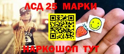 индика Лесосибирск