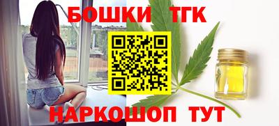 индика Лесосибирск
